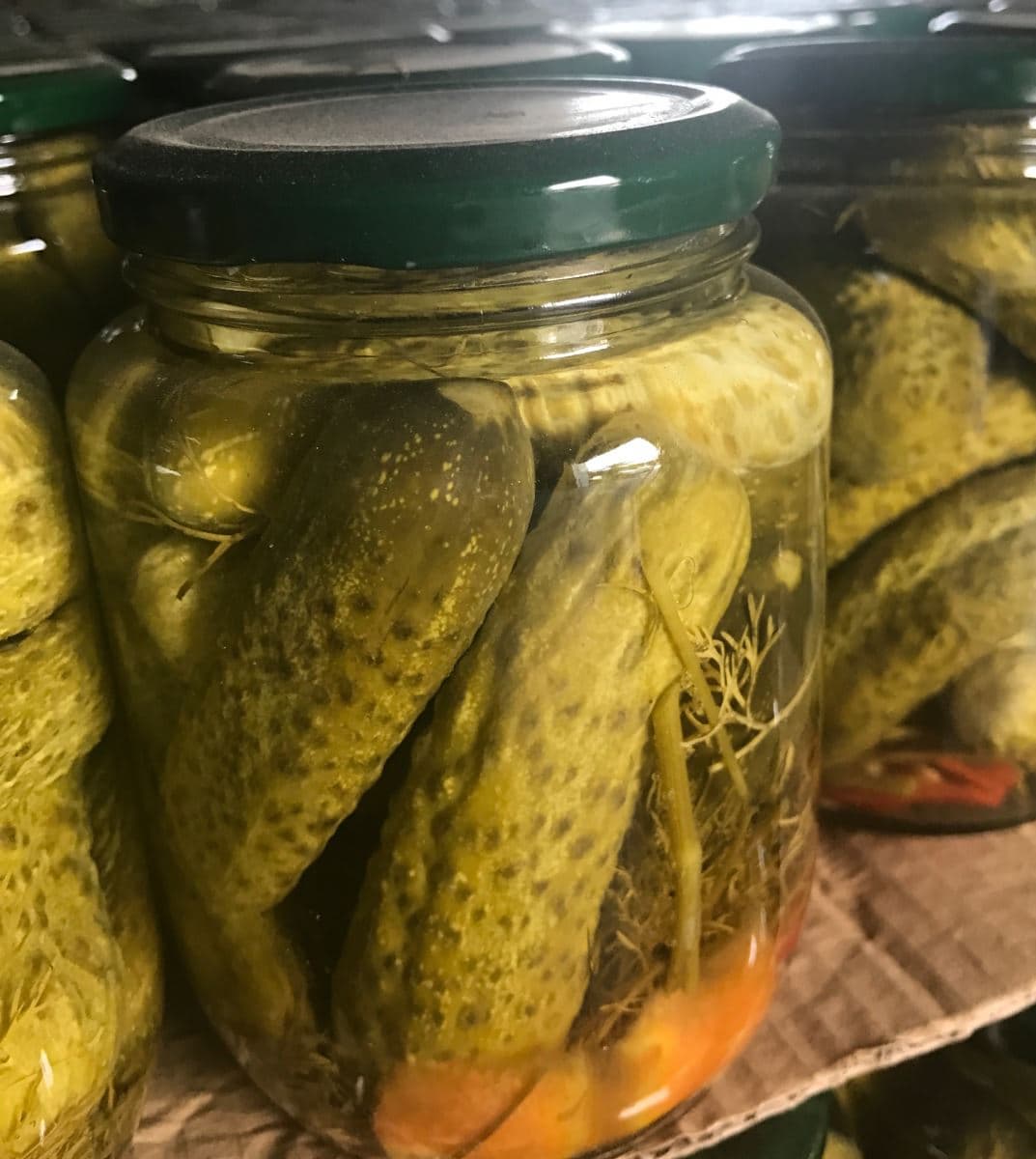 Russian Recipe Canned Pickled Cucumber Gherkin